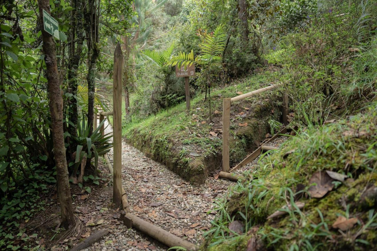 Hotel Bubblesky Glamping 40 Min From Medellin El Retiro  Esterno foto