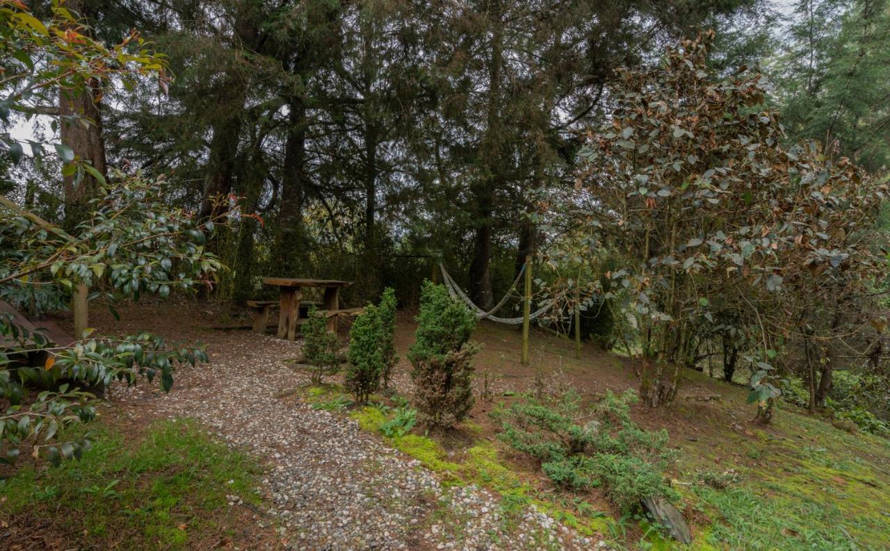 Hotel Bubblesky Glamping 40 Min From Medellin El Retiro  Esterno foto