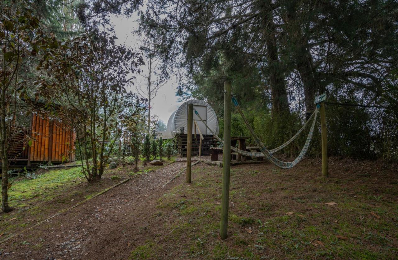 Hotel Bubblesky Glamping 40 Min From Medellin El Retiro  Esterno foto